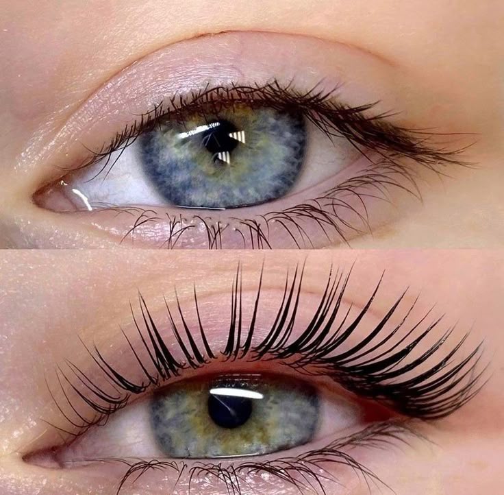لمینت مژه vs لیفت مژه؛ کدوم در ۲۰۲۵ بیشتر طرفدار دارد؟